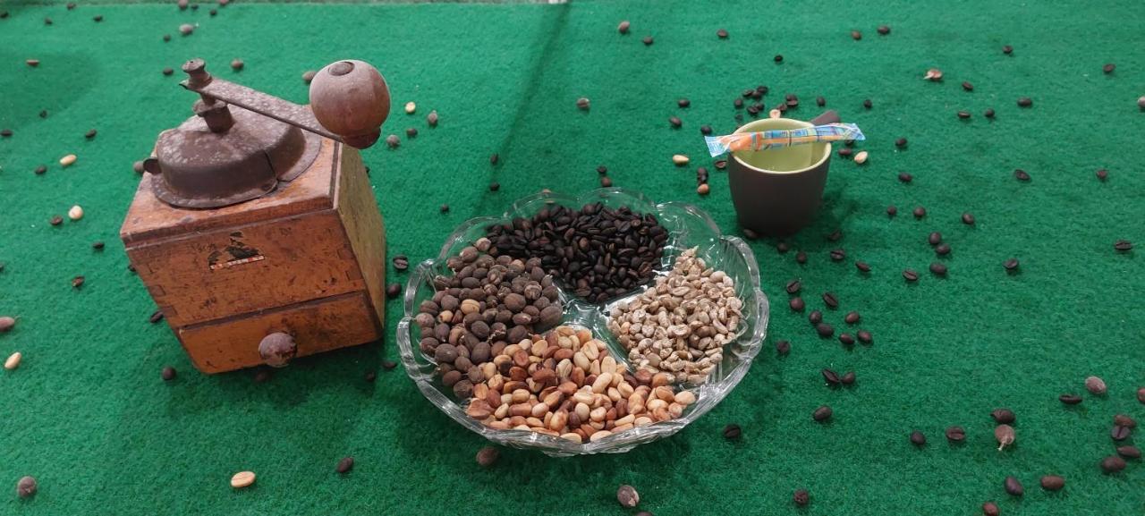 Label Kafe Διαμέρισμα Bouillante Εξωτερικό φωτογραφία
