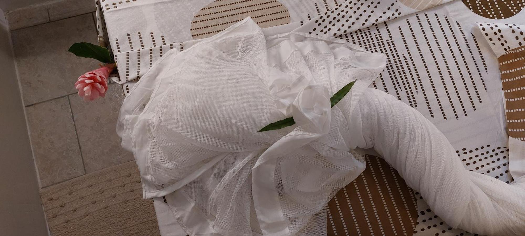 Label Kafe Διαμέρισμα Bouillante Εξωτερικό φωτογραφία